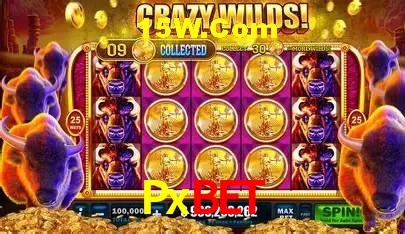 A Emoção da Loteria na Pxbet: Uma Chance de Mudança de Vida